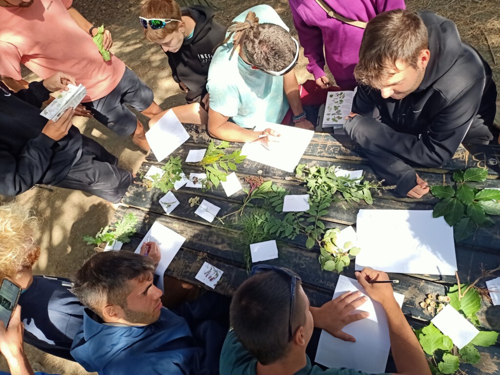 Cursos SOC en ETEVA: fórmate gratis como monitor de tiempo libre